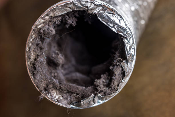 Best Air Duct Cleaning Near Me  in Woodstown, NJ