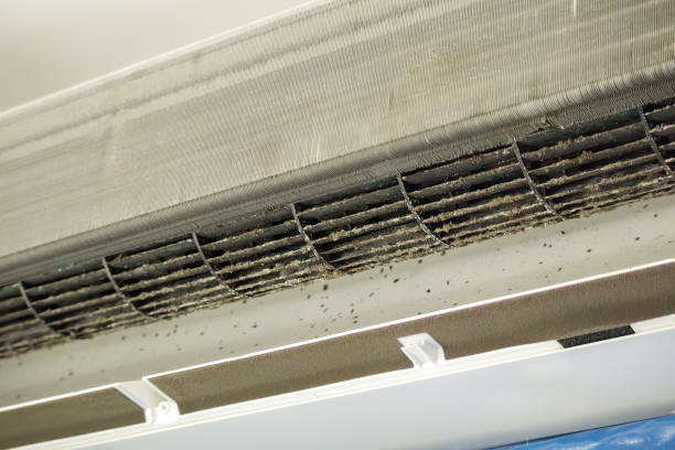 Best HVAC Duct Inspection Services  in Woodstown, NJ