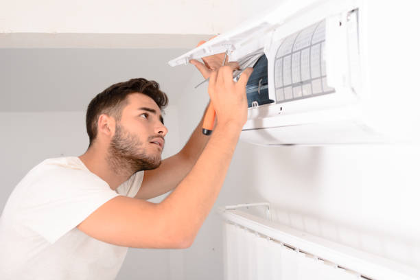 Best Air Duct Sanitizing Services  in Woodstown, NJ